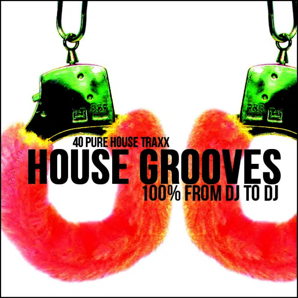 House Grooves - From DJ to DJ