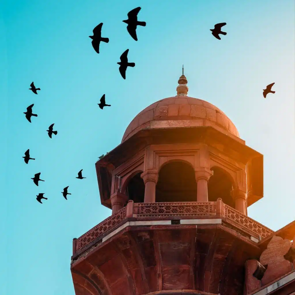 يا سكن النفس ومأمنها