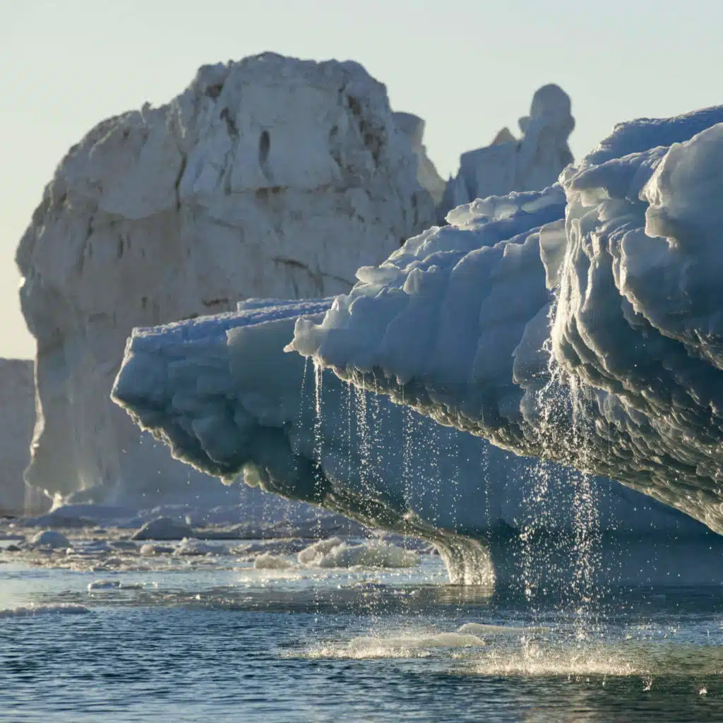 Should I have kids? Move? Recycle? Your climate questions answered