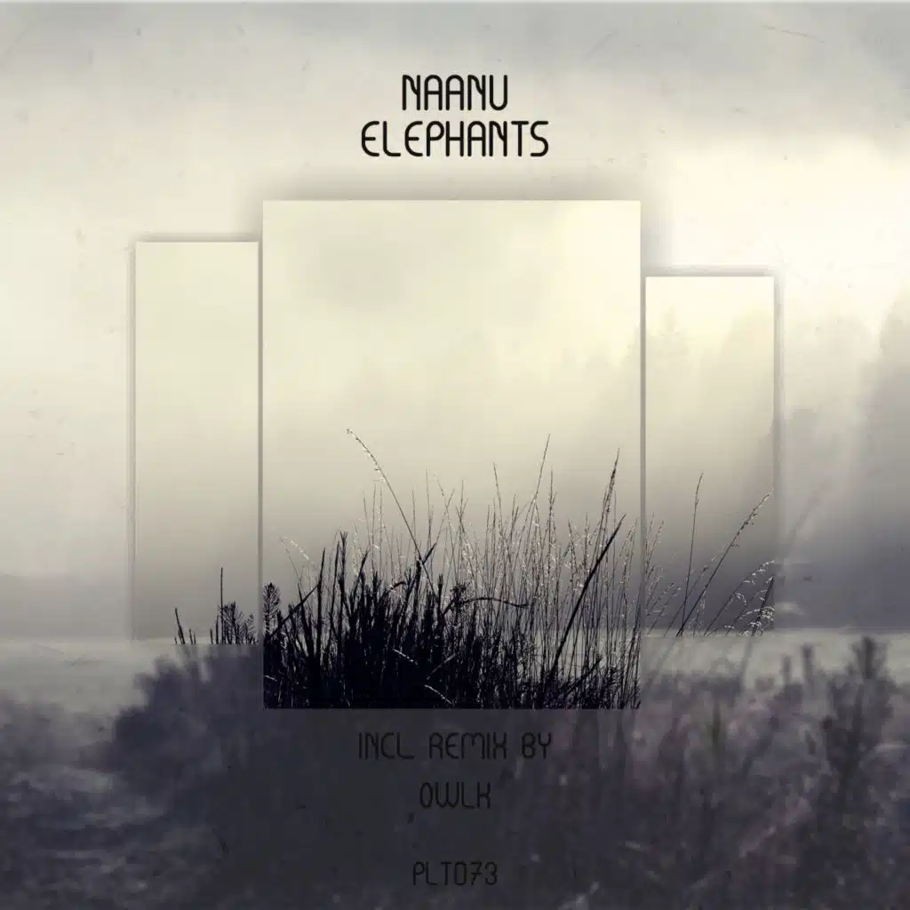 Elephants (OWLK Remix Stream Edition)