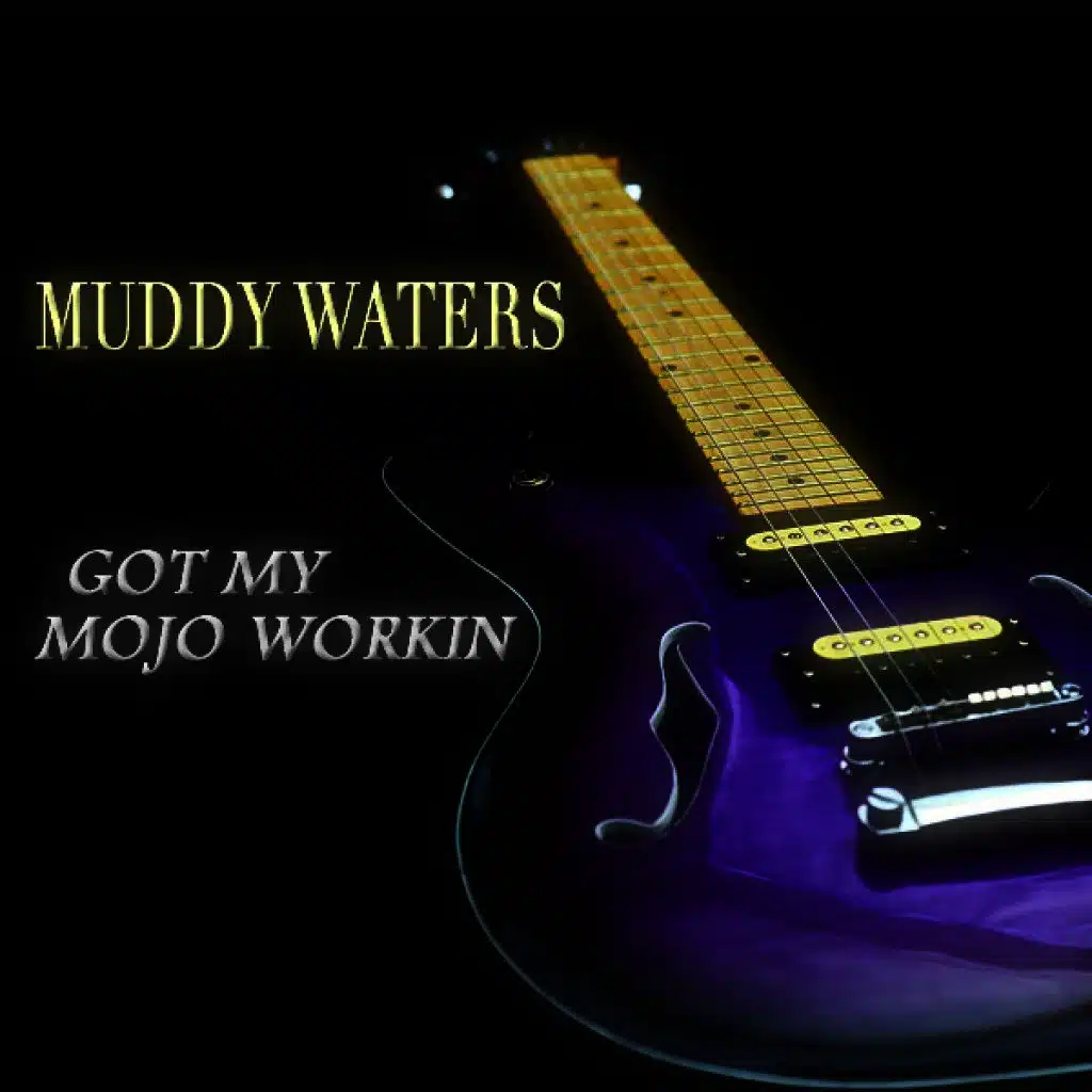 You Don't Have to Go (Live)