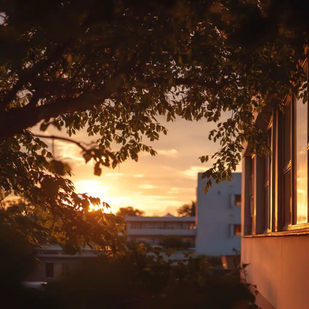 The Day Begins Again