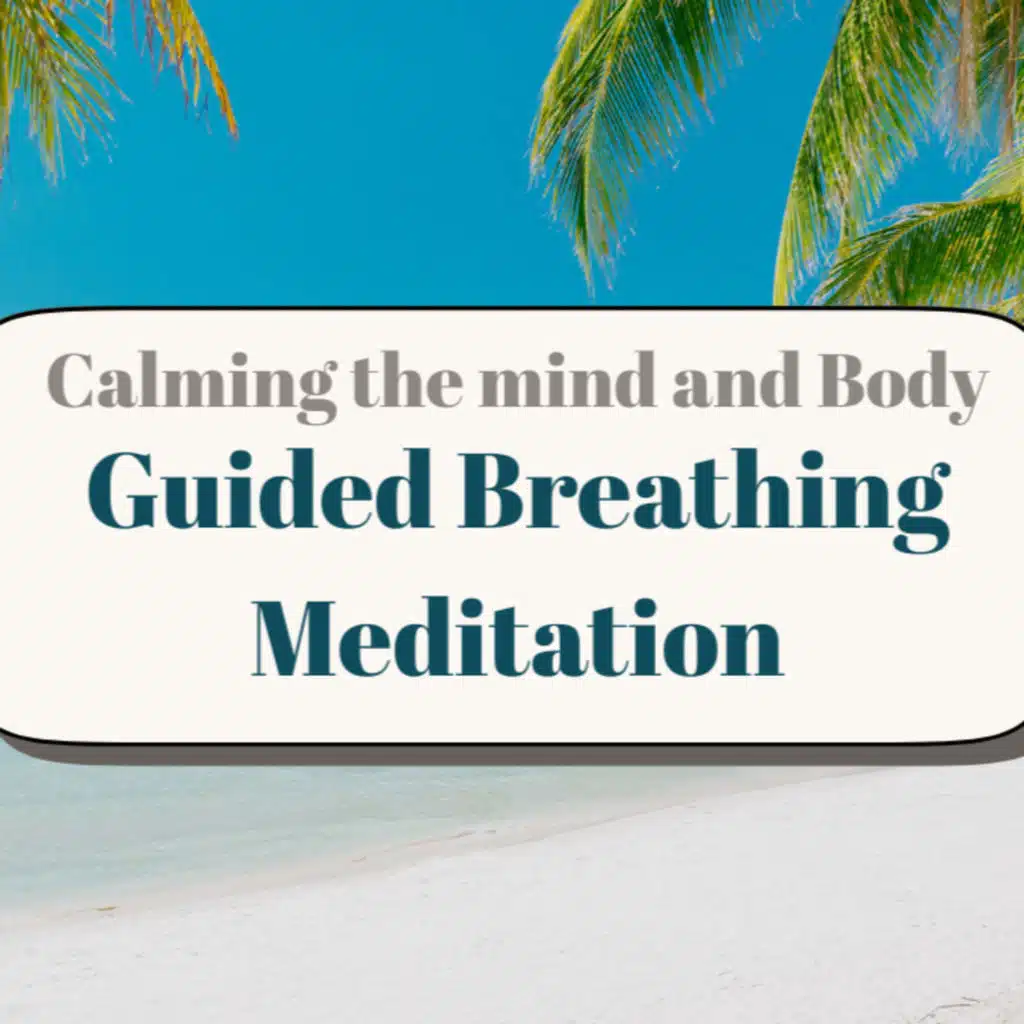 5.3: Guided Breathing Meditation. Calming the Mind and Body