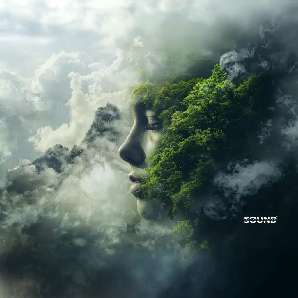 Where Silence Speaks