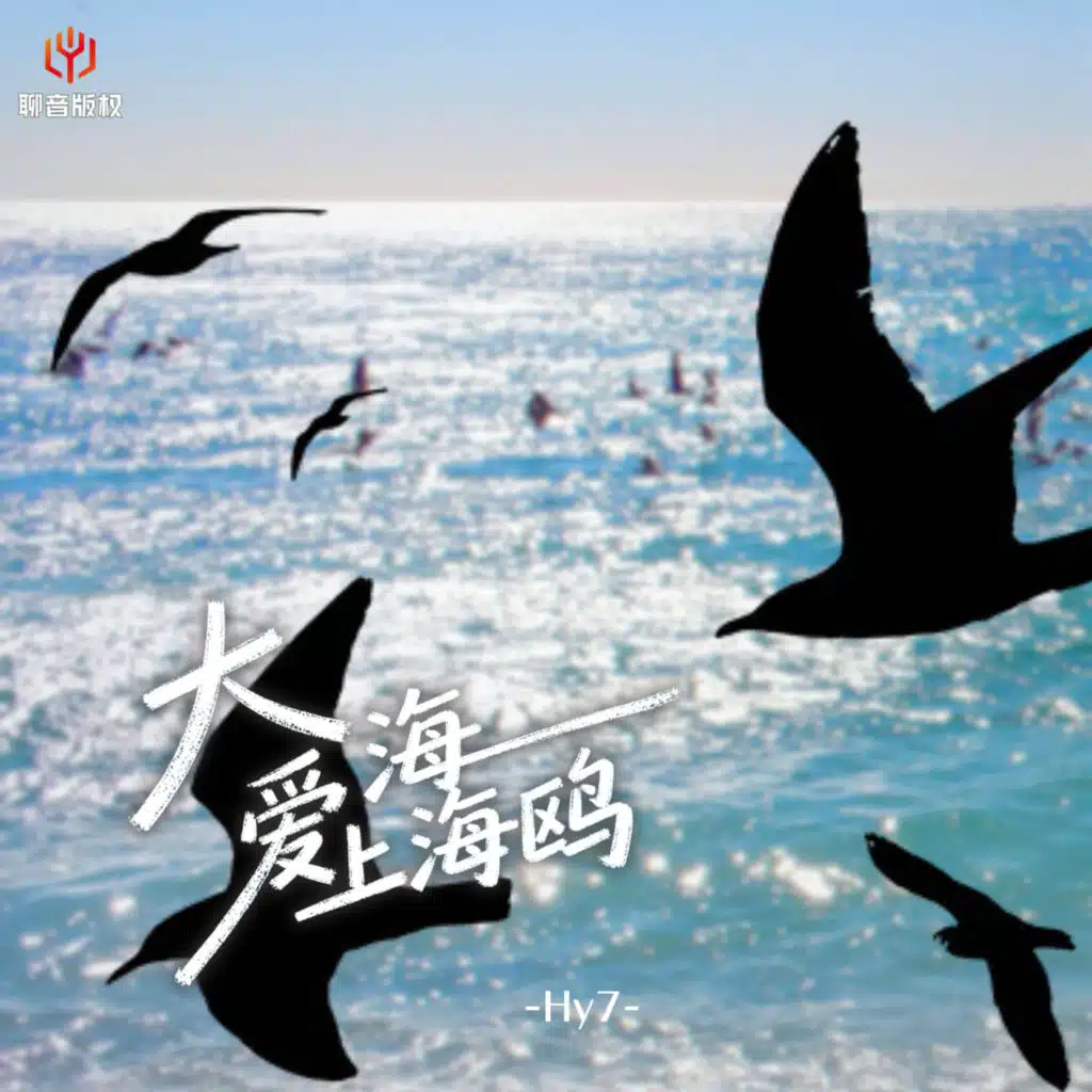 大海爱上海鸥