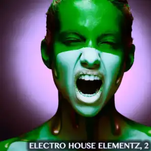 Electro House Elementz, Vol. 2 (Electro House Music Selection)