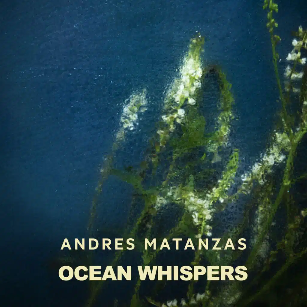 Andres Matanzas