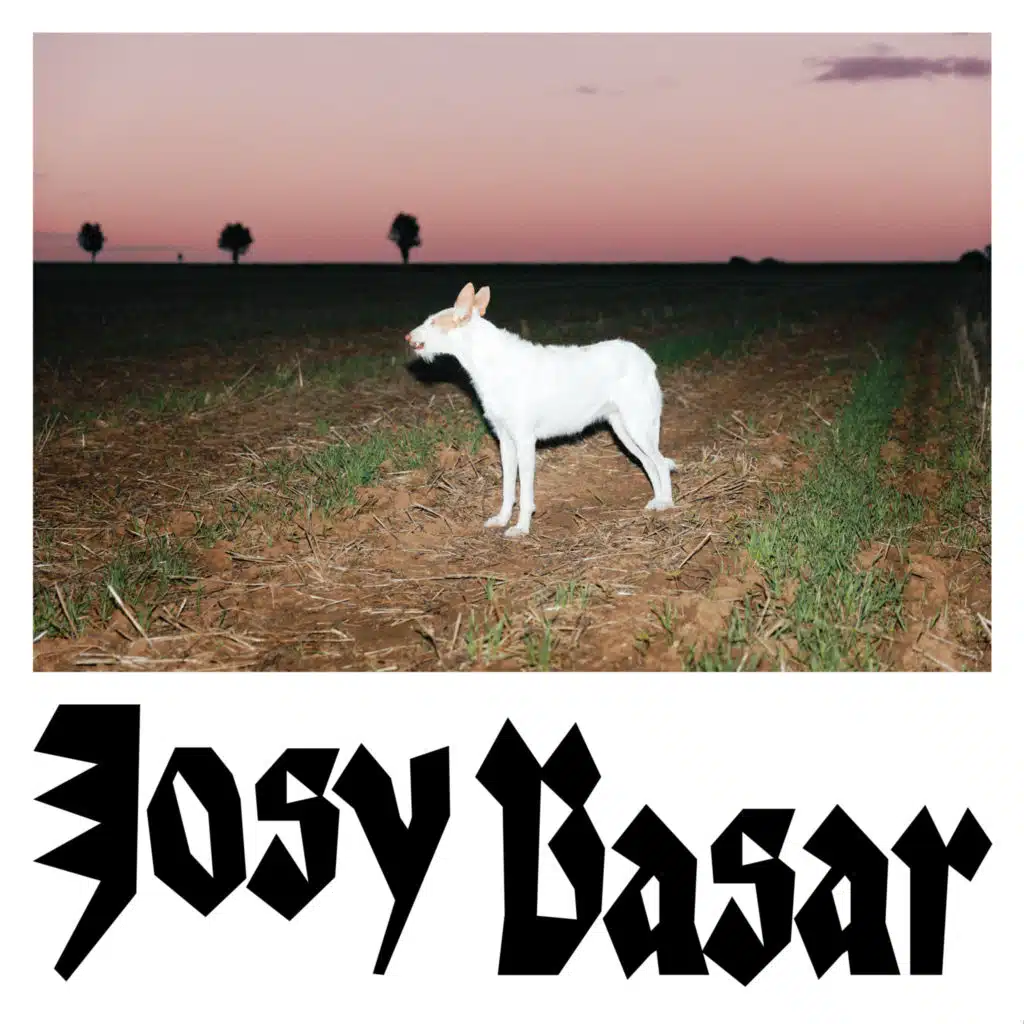 Josy Basar