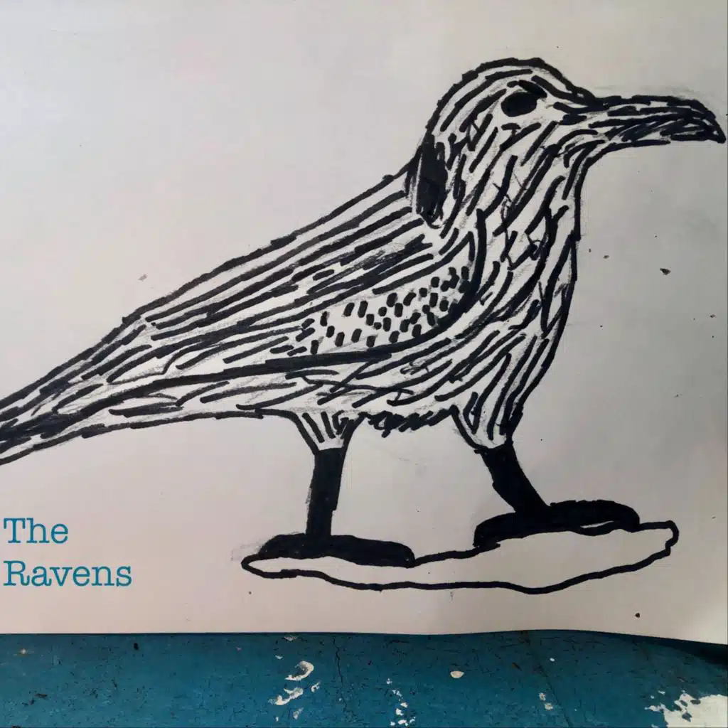 The Ravens