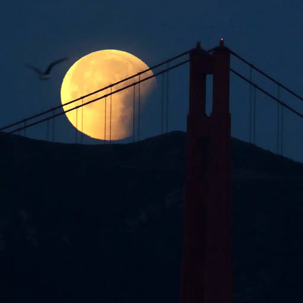 Micro Wave: "Once In A Blue Moon" Is Happening Again This Halloween