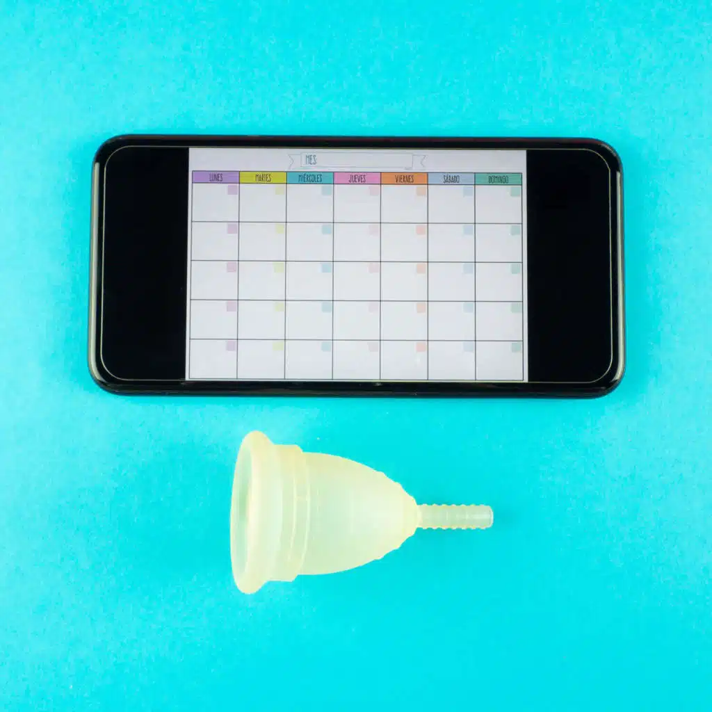 When Tracking Your Period Lets Companies Track You