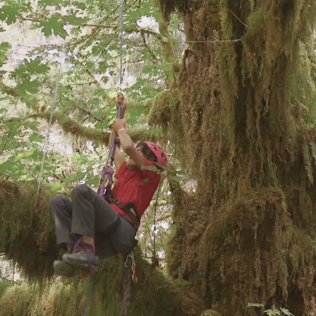 Exploring The Rainforest With 'TreeTop Barbie'