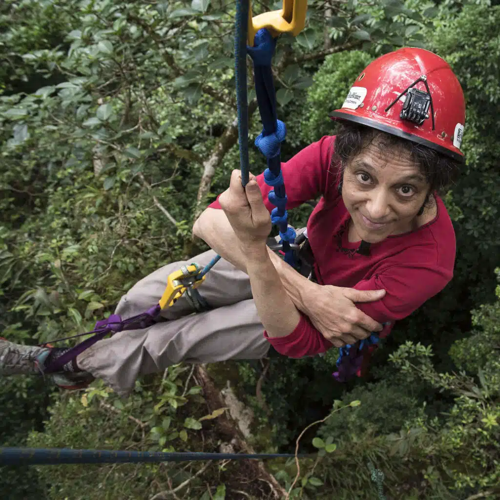 Exploring The Canopy With 'TreeTop Barbie'