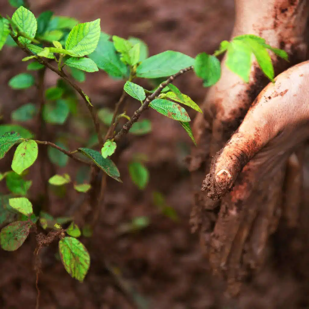 Silver Linings From The UN's Dire Climate Change Report