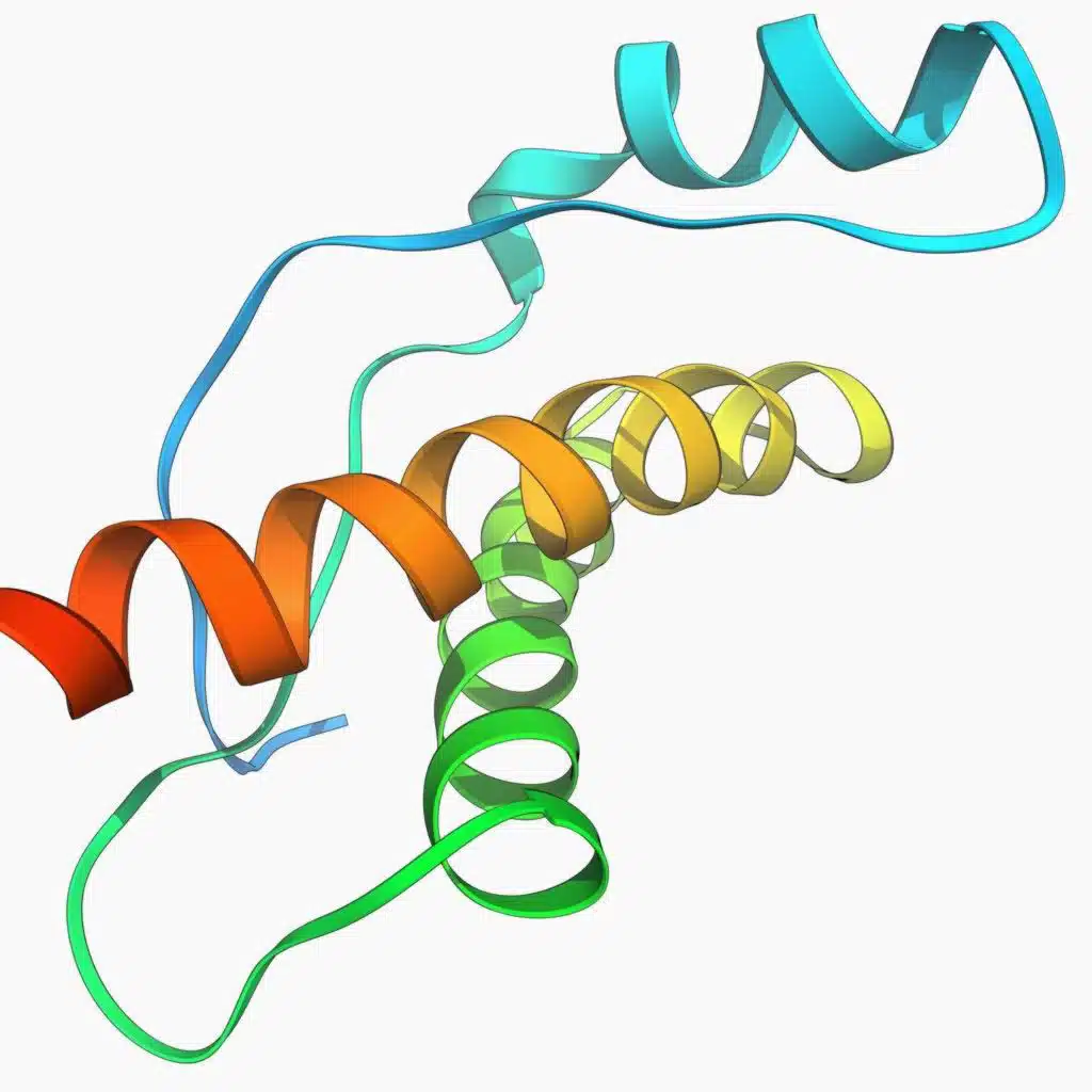 Killer Proteins: The Science Of Prions