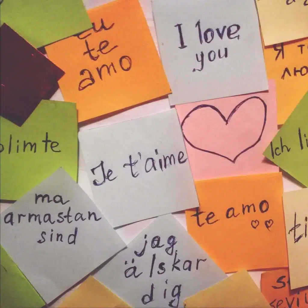 'I'm Willing To Fight For It': Learning A Second Language As An Adult