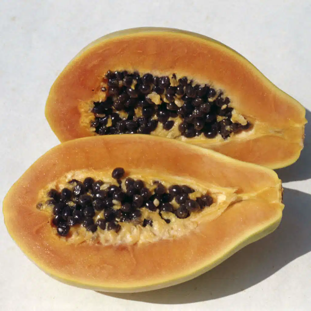 The Importance Of The Vaginal Microbiome