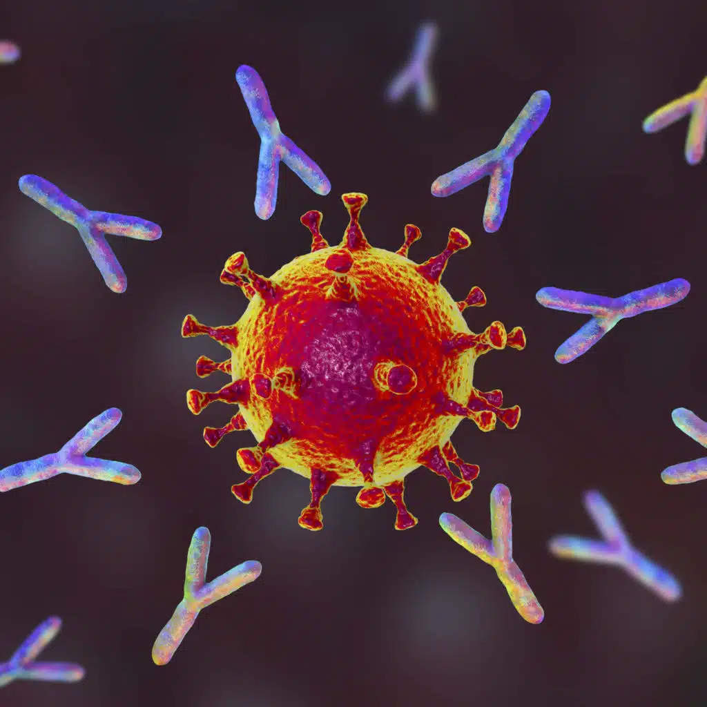 How Long Does COVID Immunity Last Anyway?