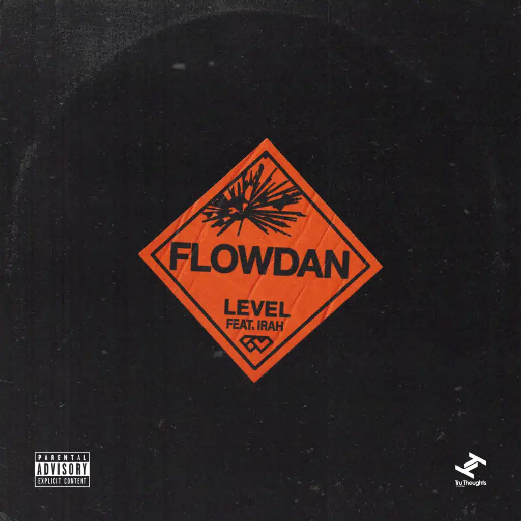 Level (Radio Edit) [feat. Irah]