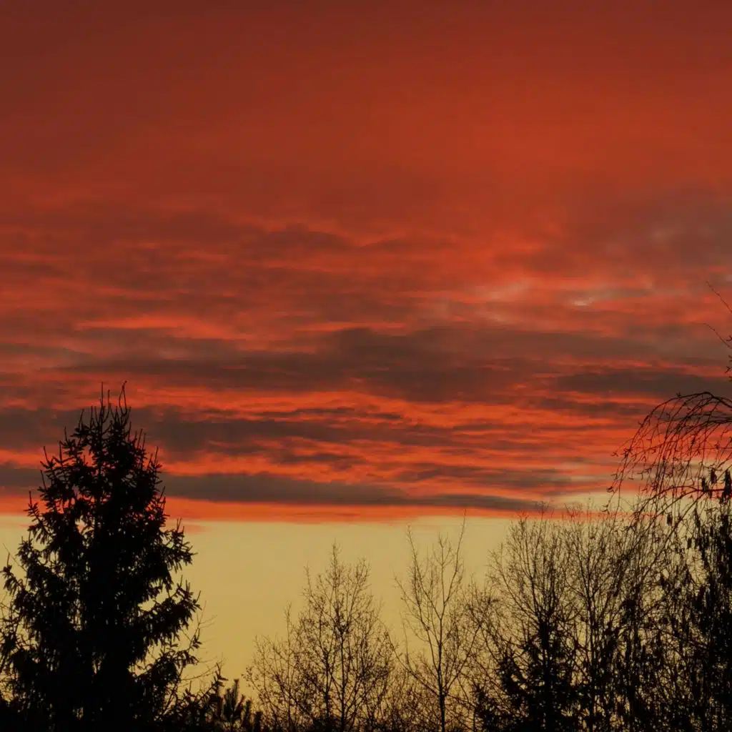 Casiio & Sleepermane