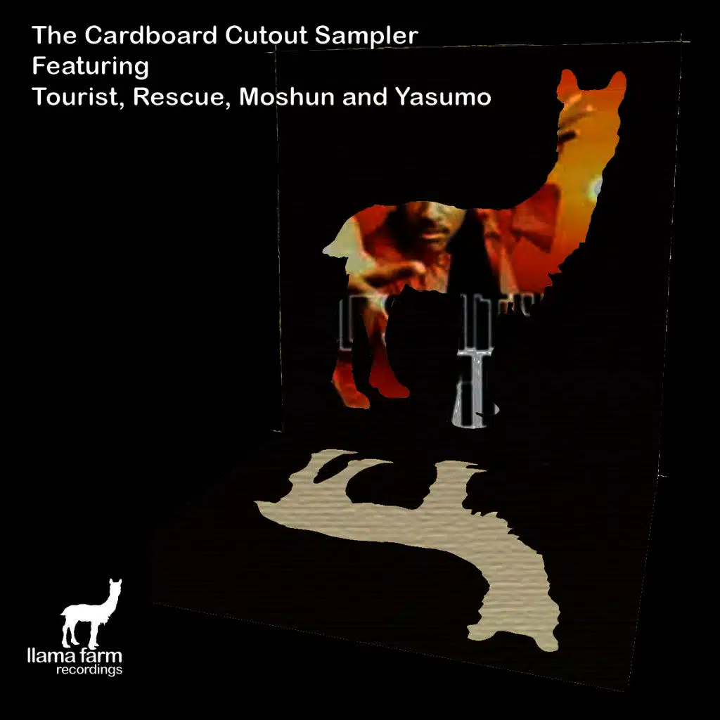 The Cardboard Cutout Sampler