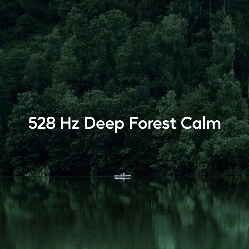 528 Hz Deep Forest Calm (Solfeggio Frequencies)