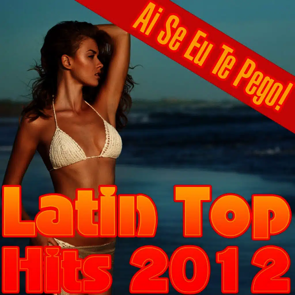 Ai Se Eu Te Pego! Latin Top Hits 2012