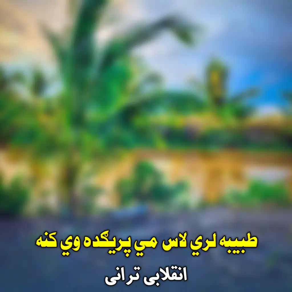 انقلابی ترانی