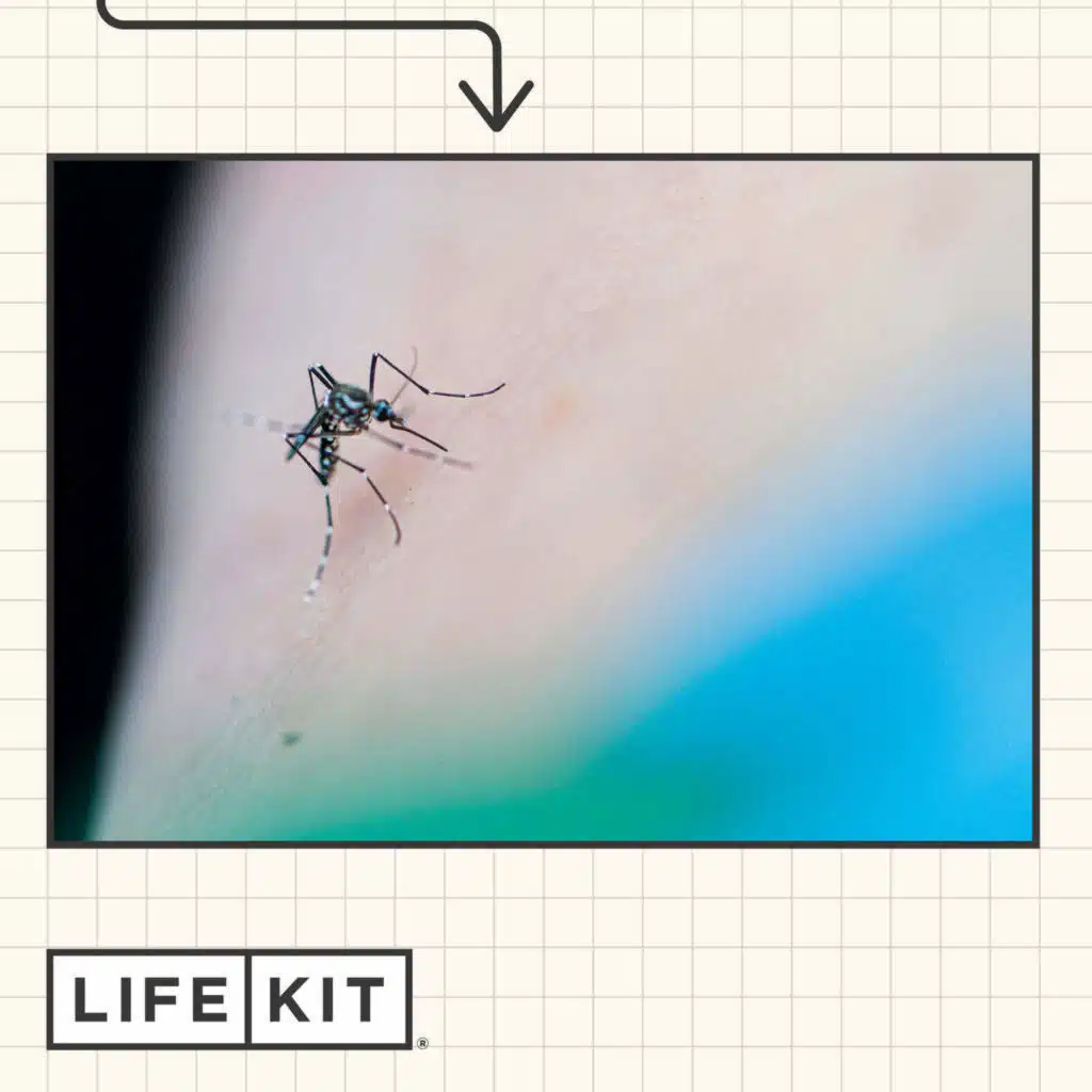 How to avoid mosquito bites