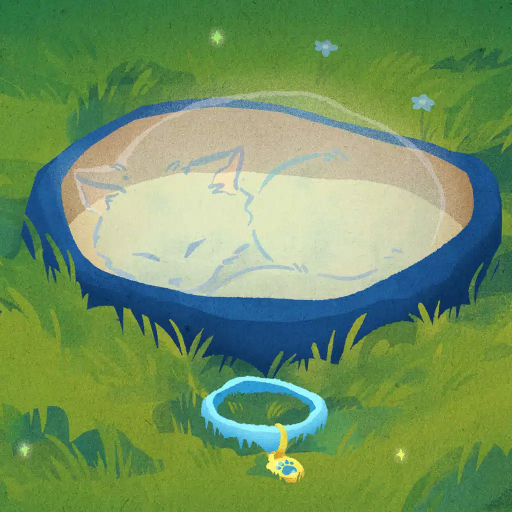 Losing a pet is hard. Here's how to cope