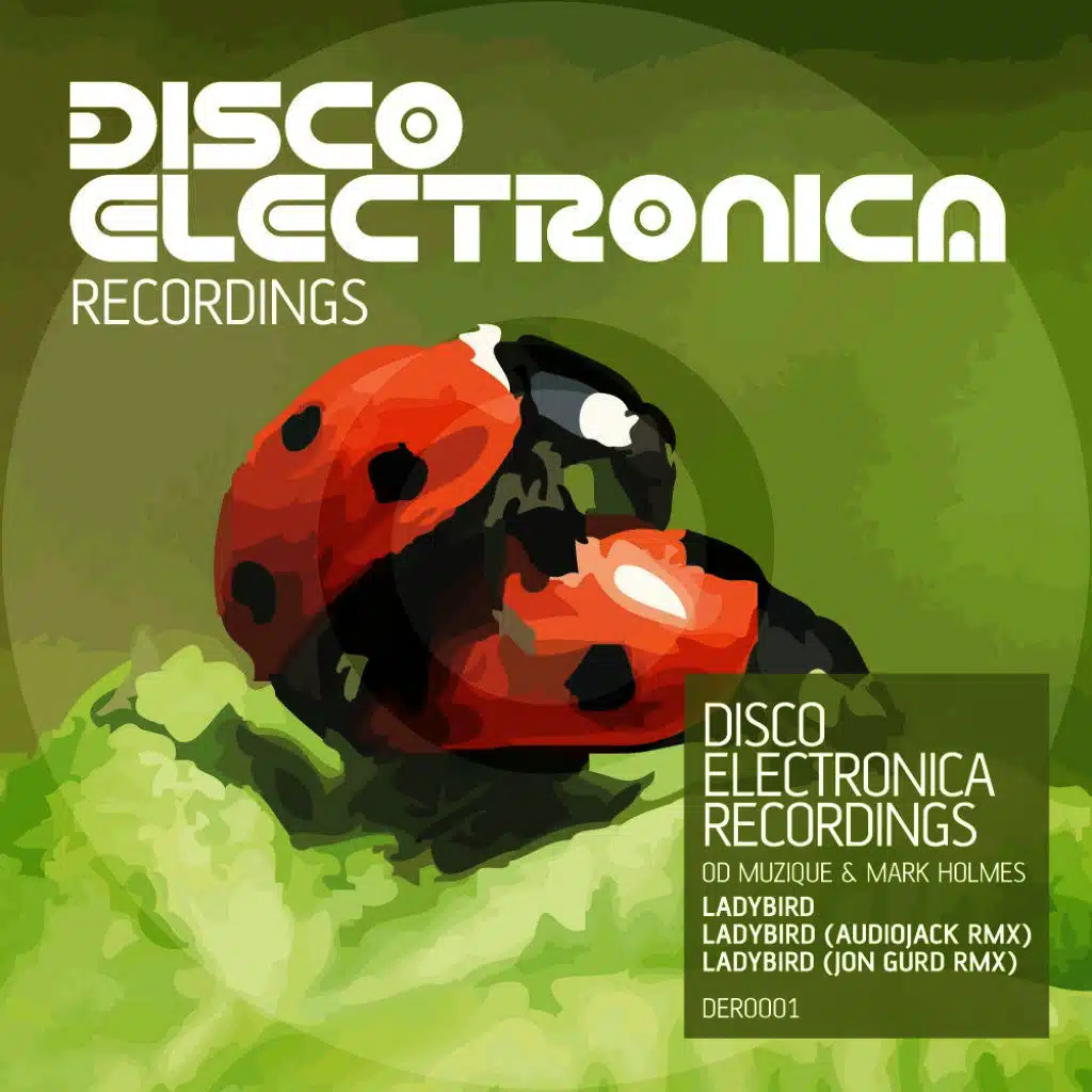 Ladybird (Jon Gurd Remix)