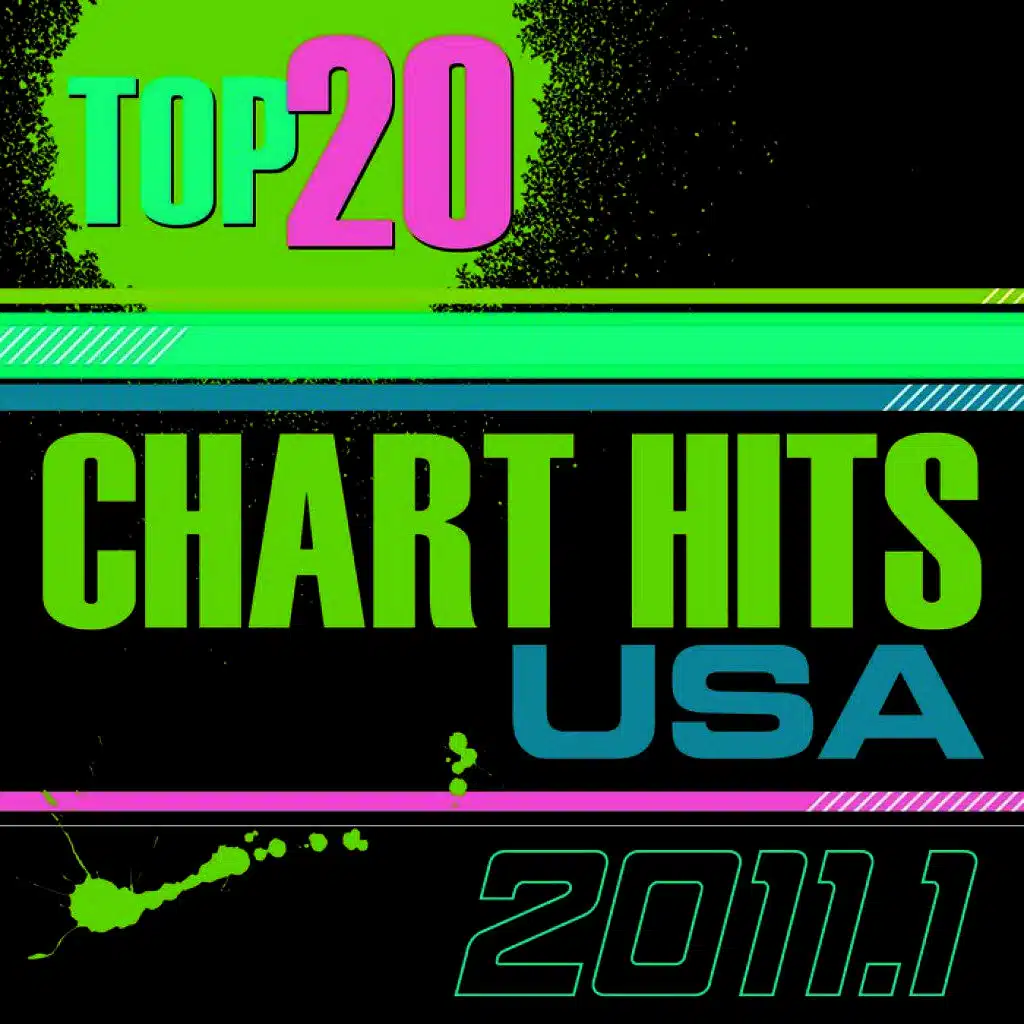 Top 20 Chart Hits 2011_1 USA