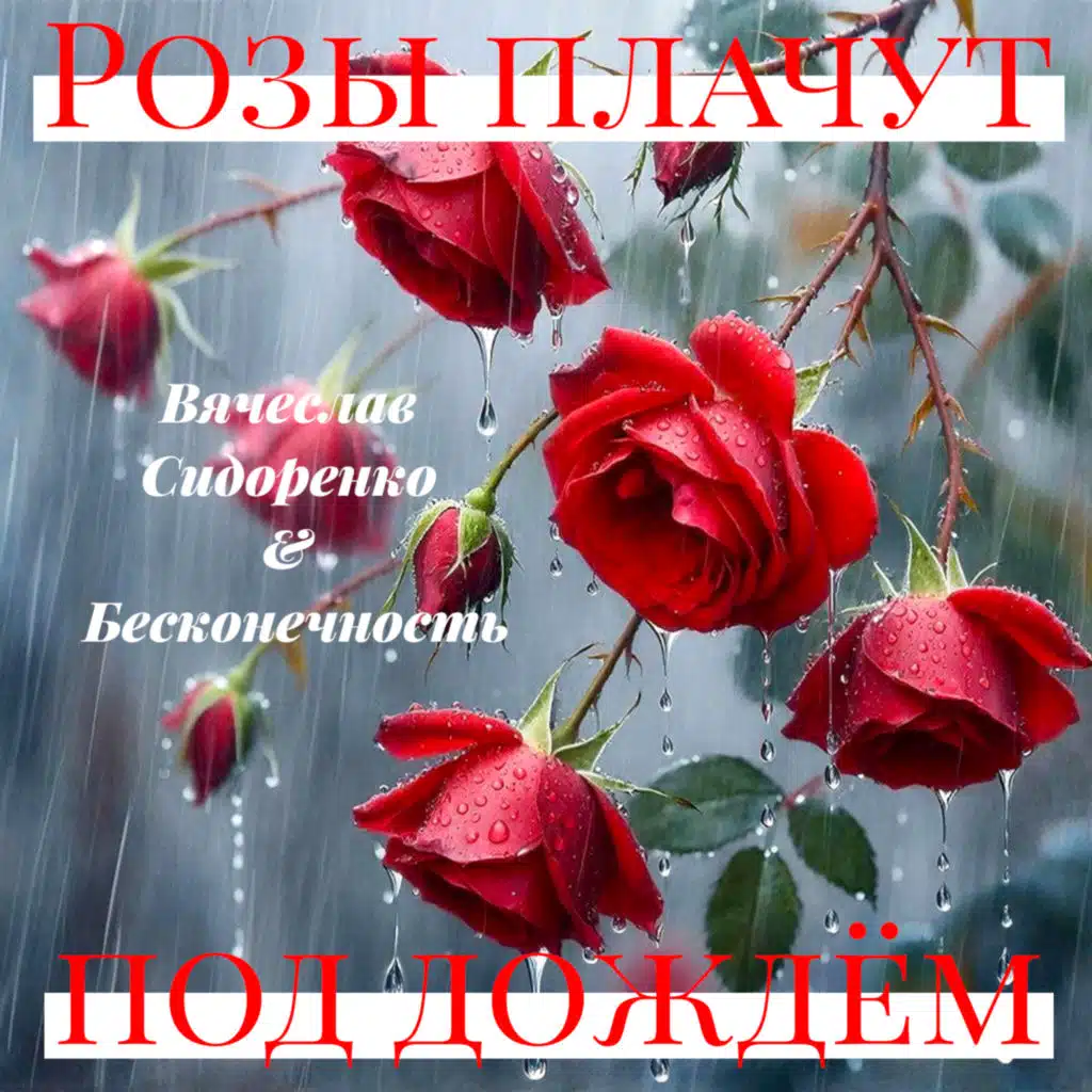 РОЗЫ ПЛАЧУТ ПОД ДОЖДЁМ