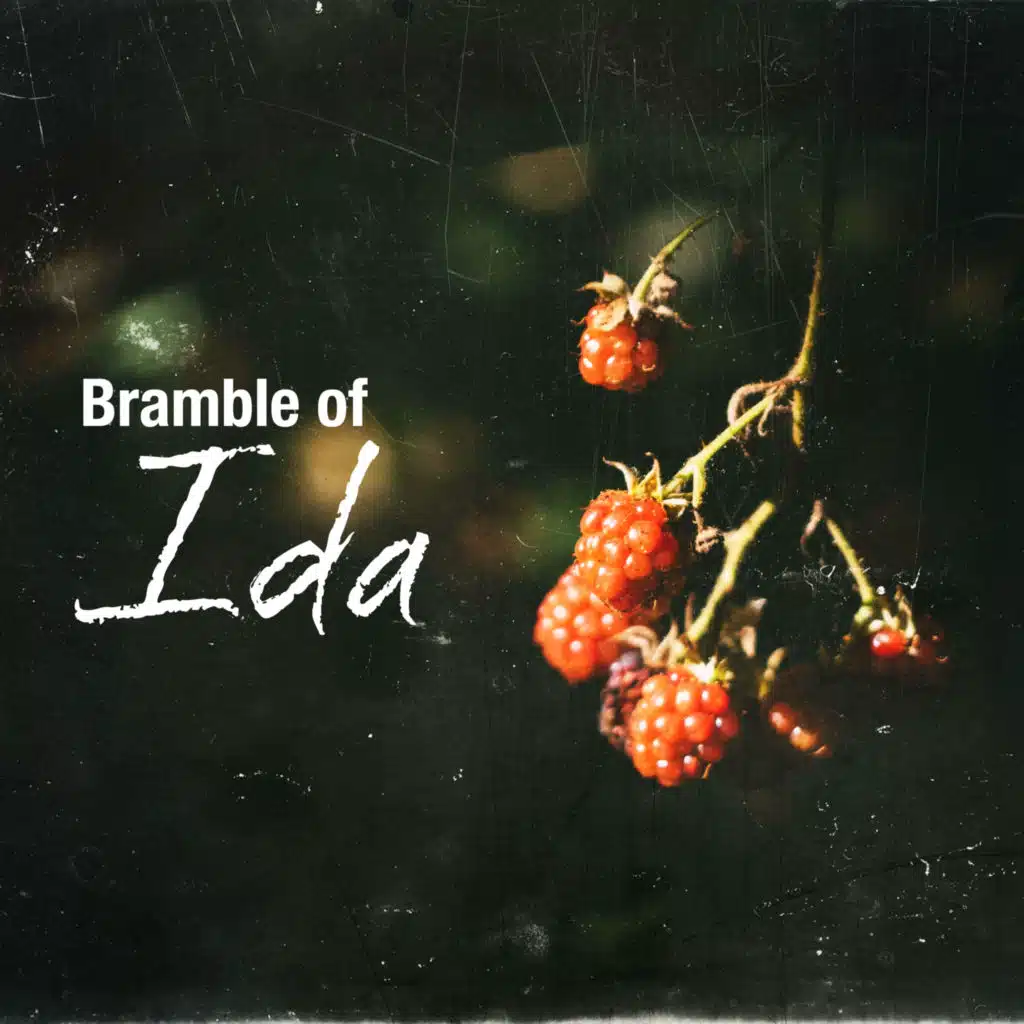 Bramble of Ida