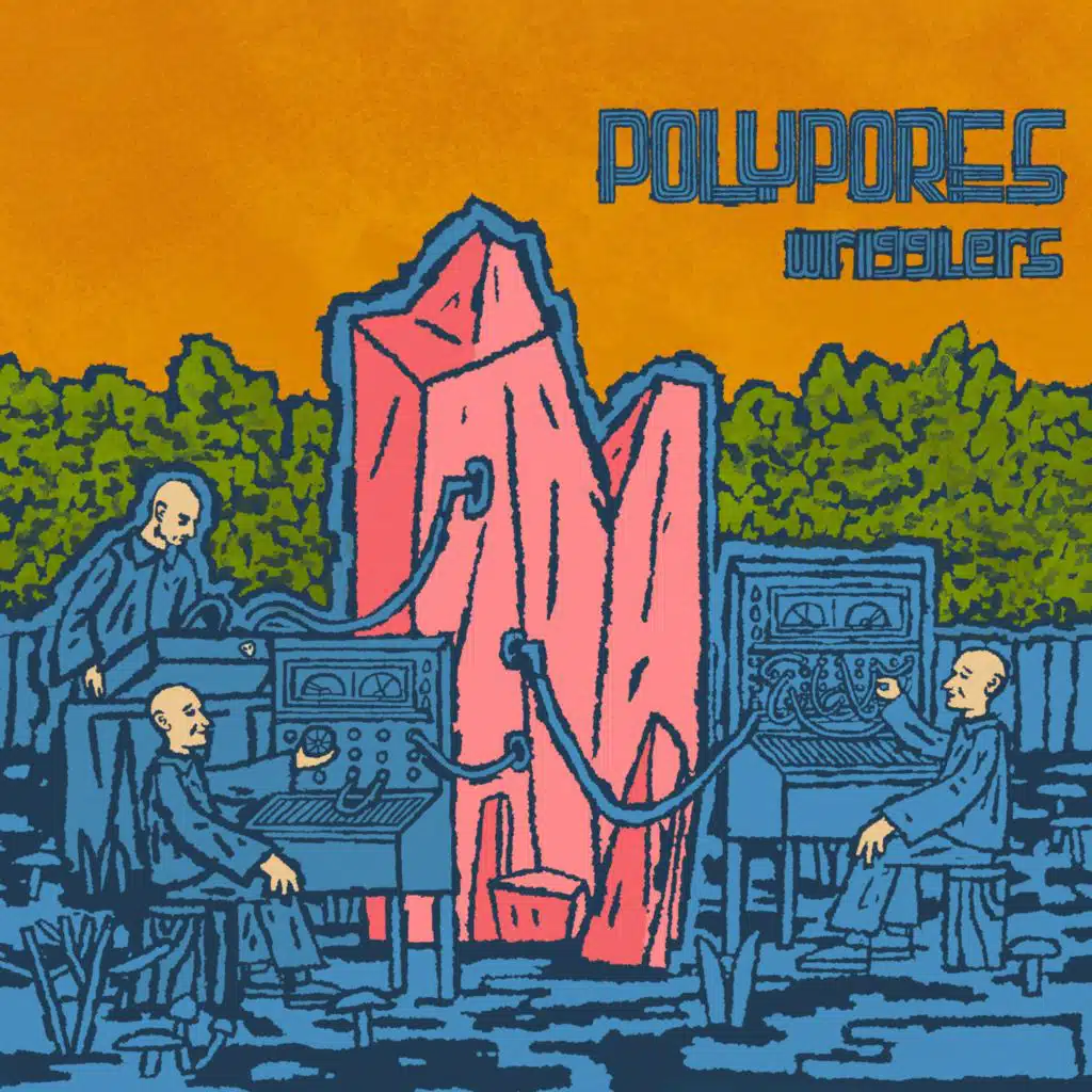 Polypores