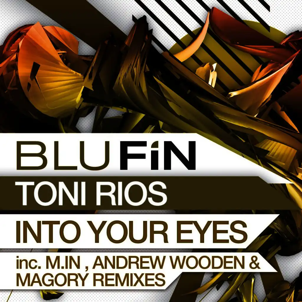 Into Your Eyes (Magory Remix)