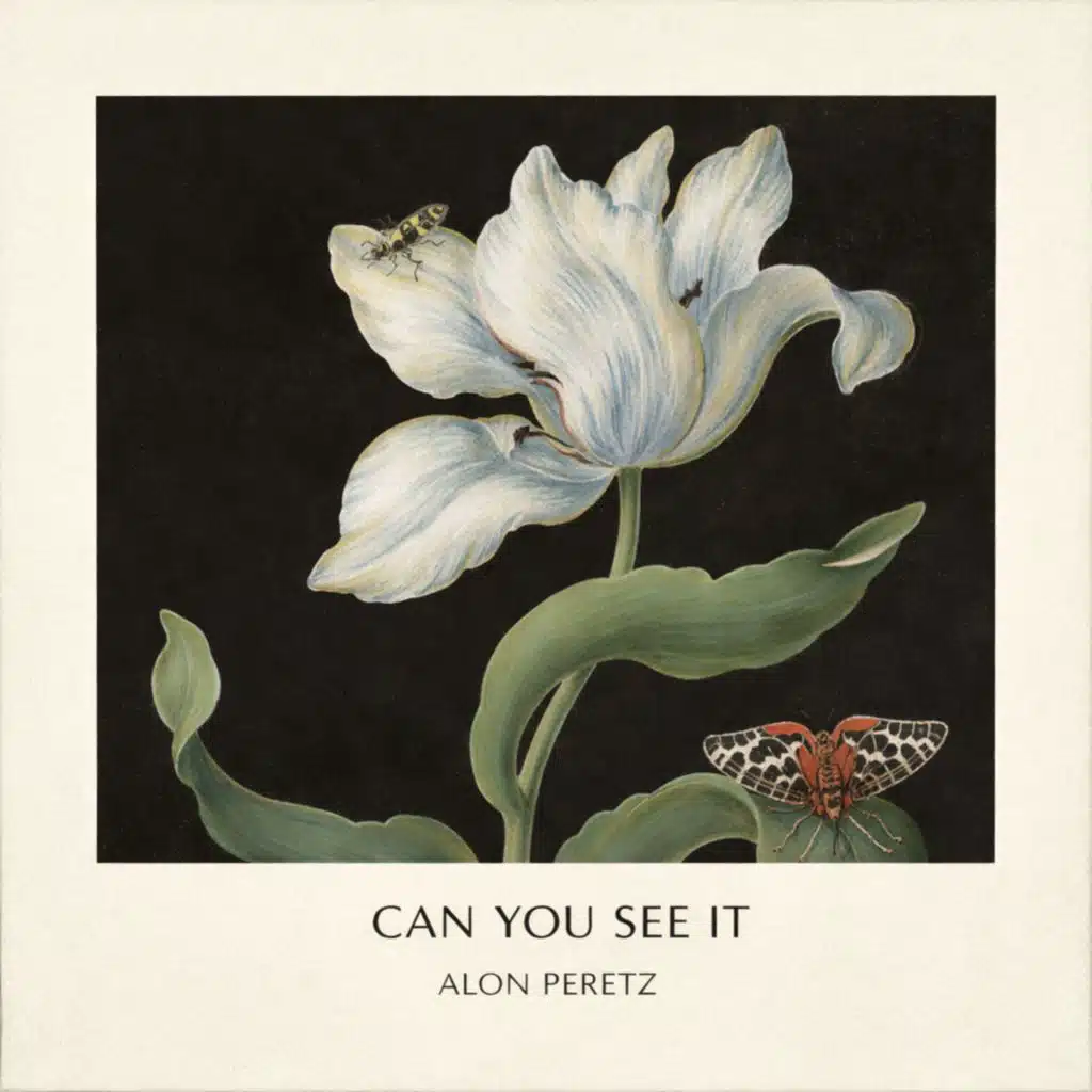 Alon Peretz