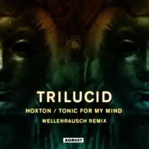 Tonic for my mind (original mix)