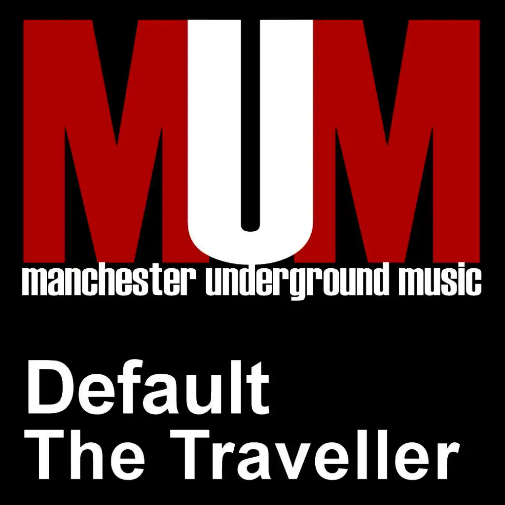 The Traveller (Original Mix)