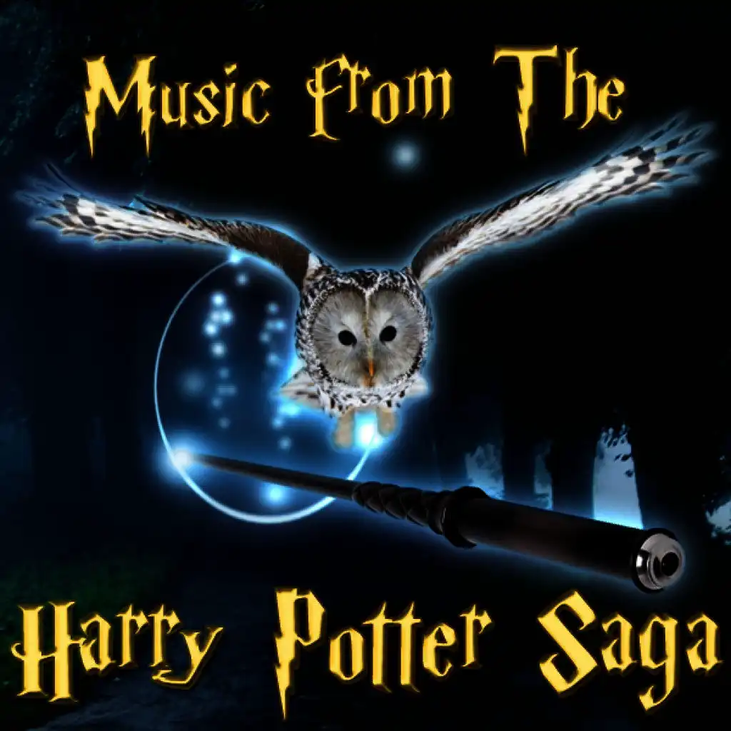 Theme From Harry Potter (Harry's Wondrous World)