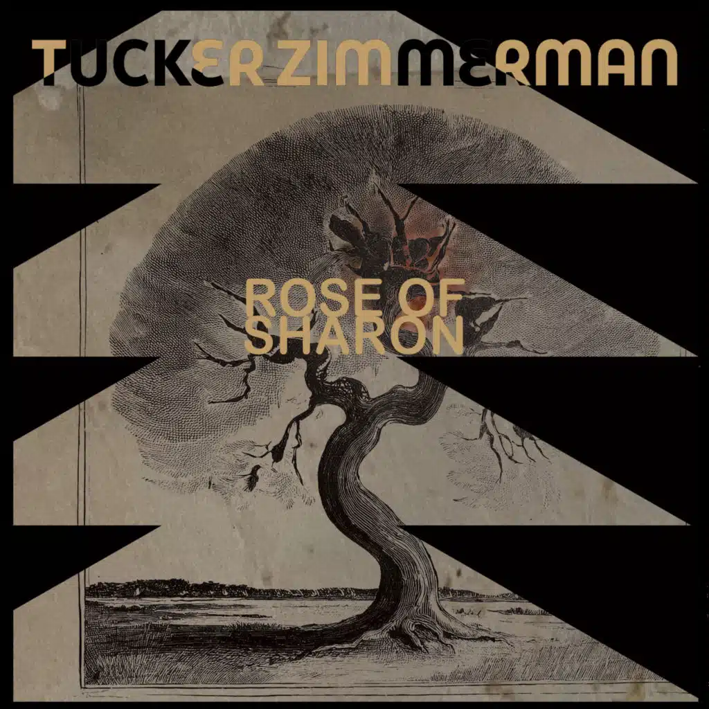 Rose Of Sharon