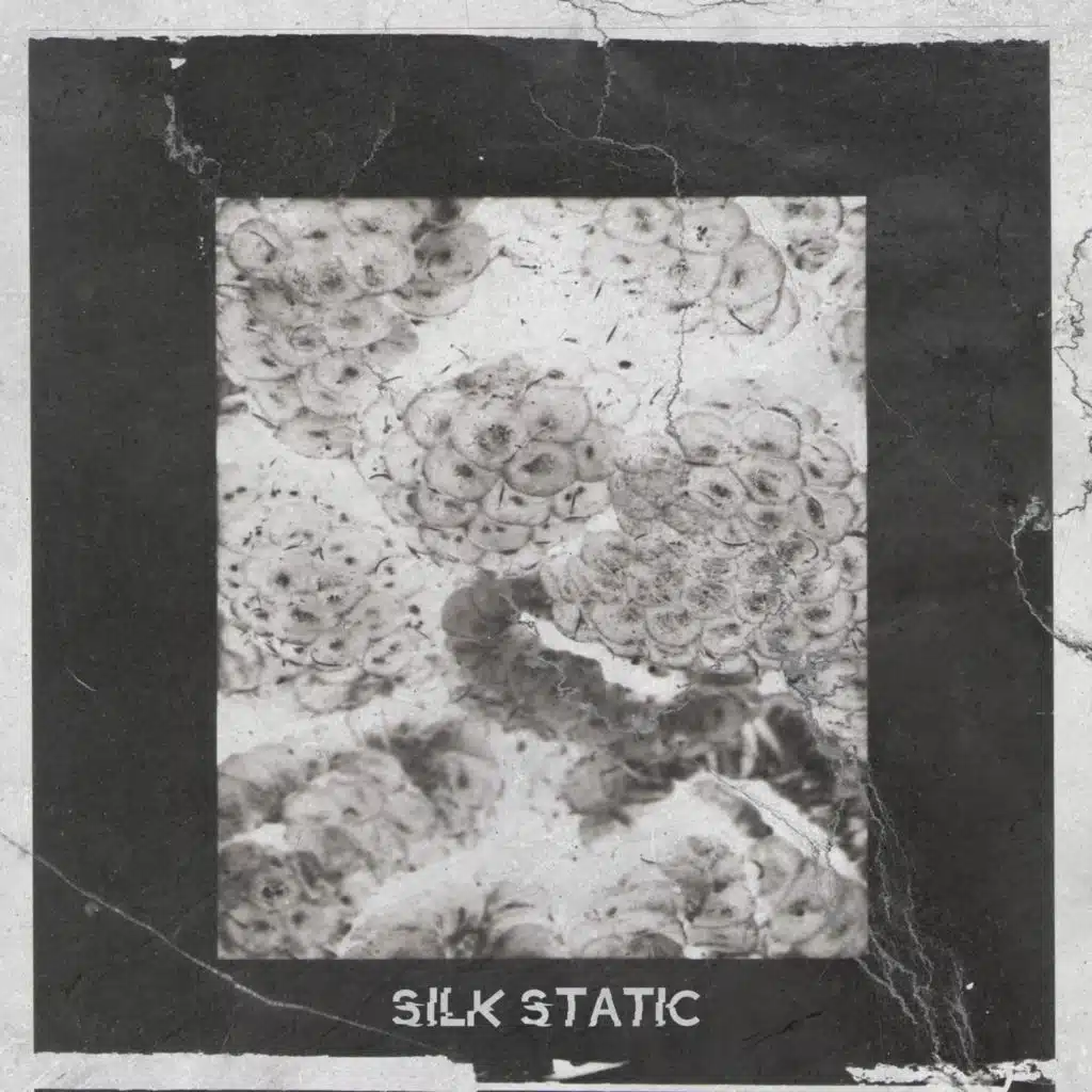 Silk Static