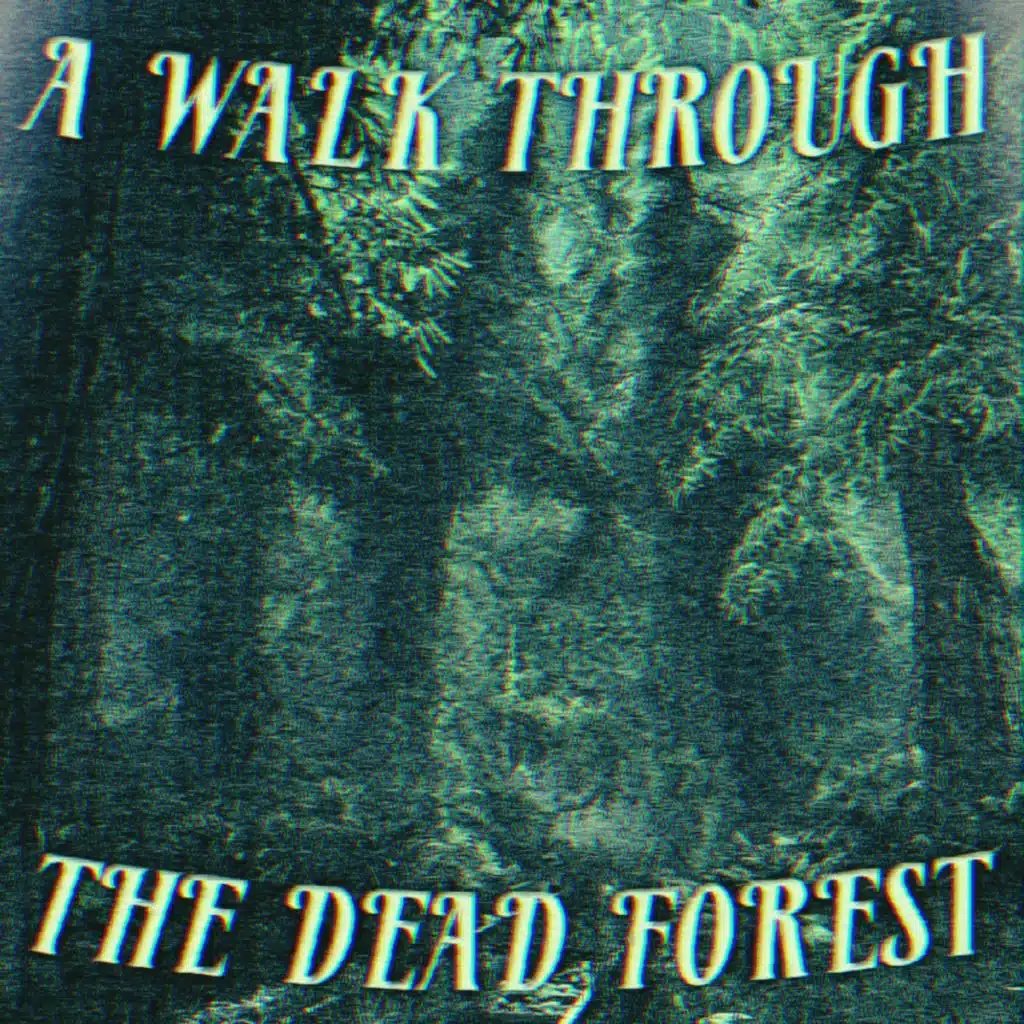 A Walk Through the Dead Forest