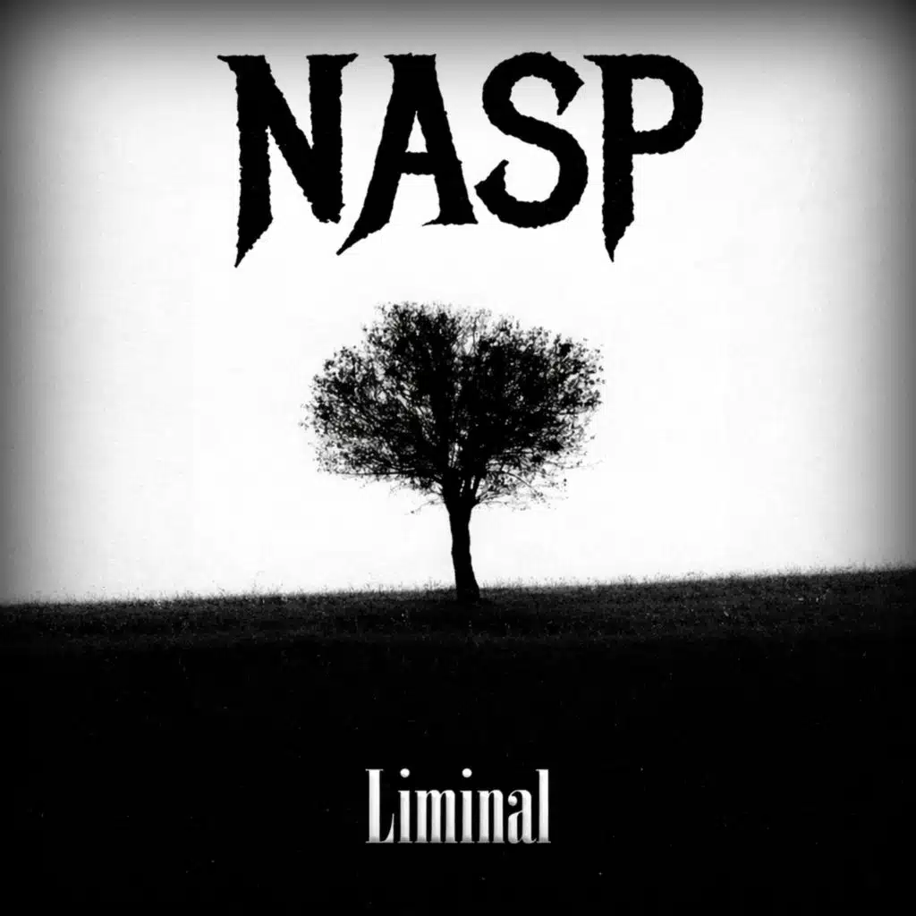N.A.S.P.