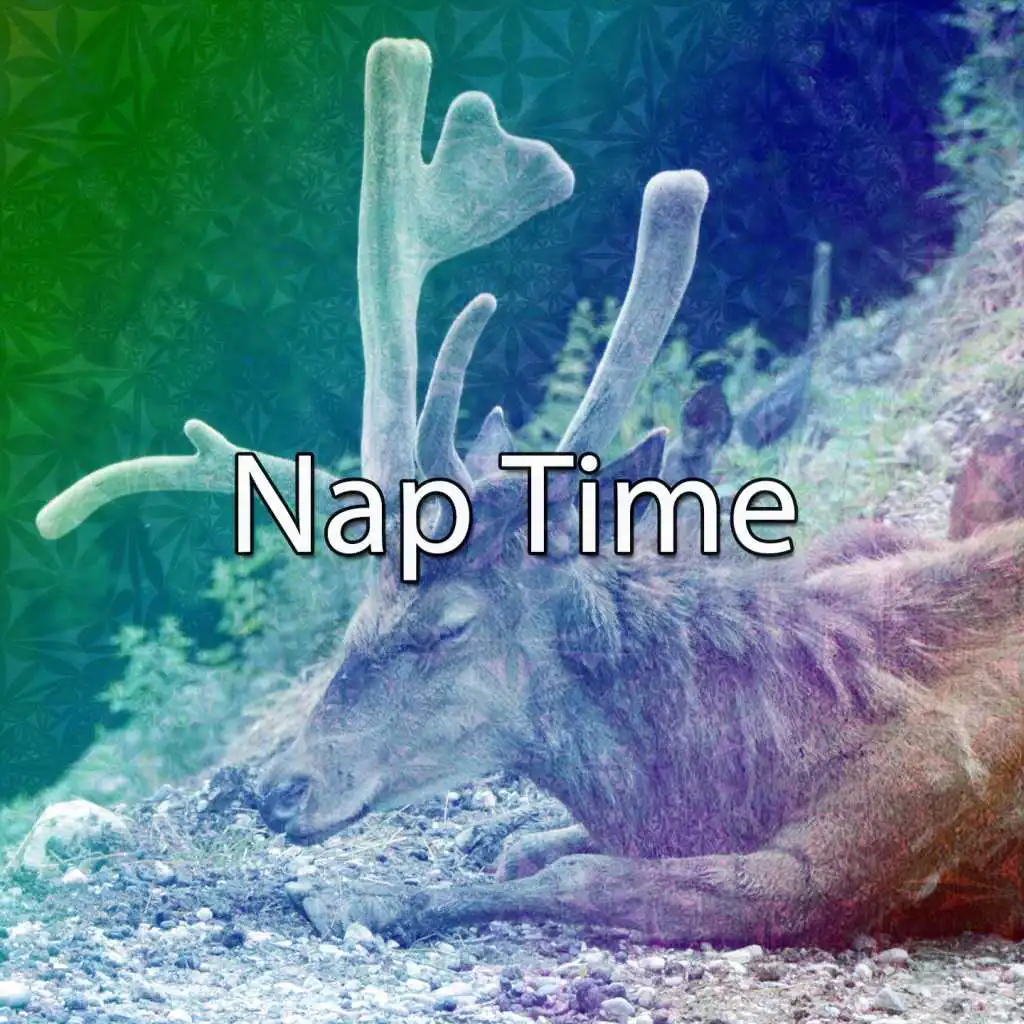 Nap Time