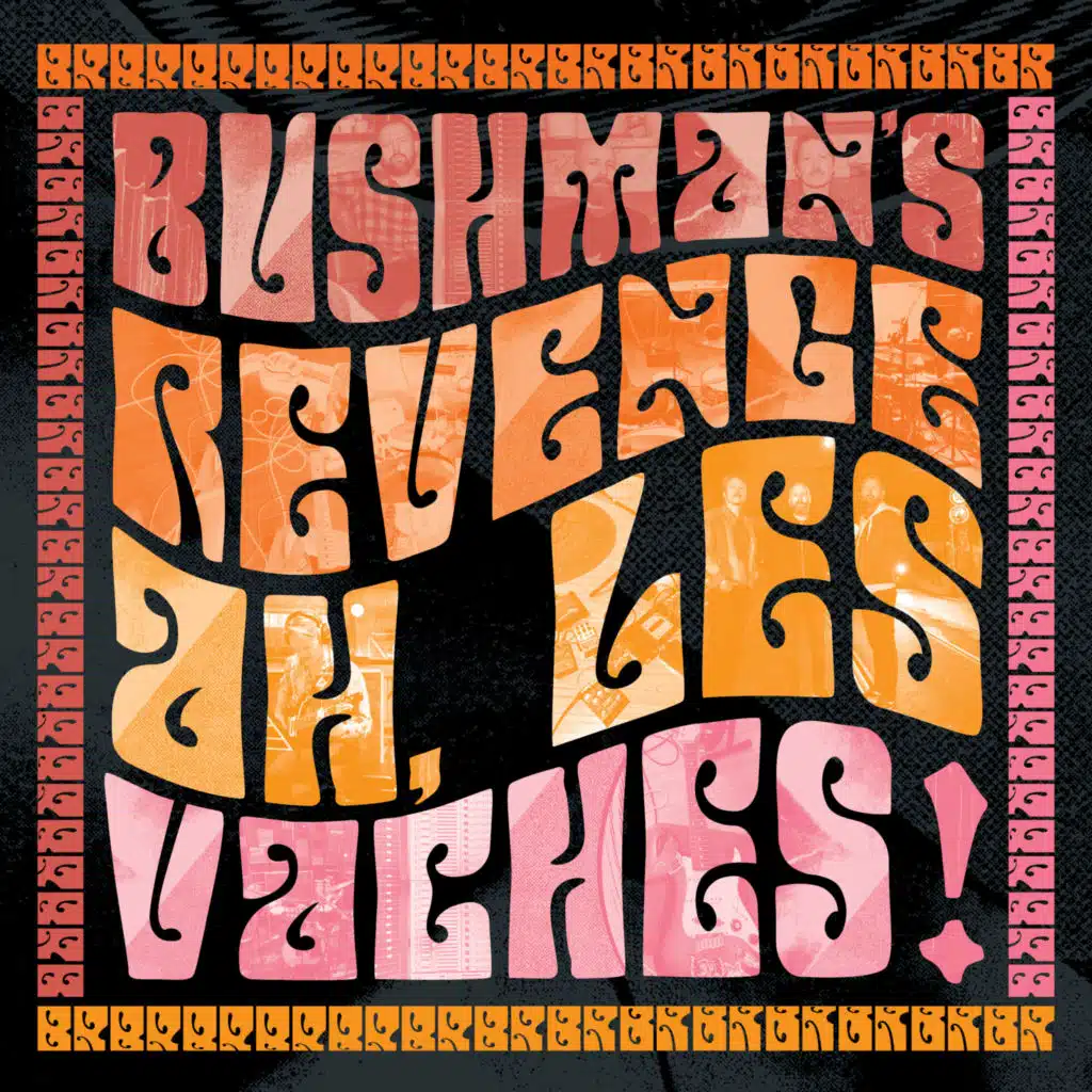 Bushman's Revenge