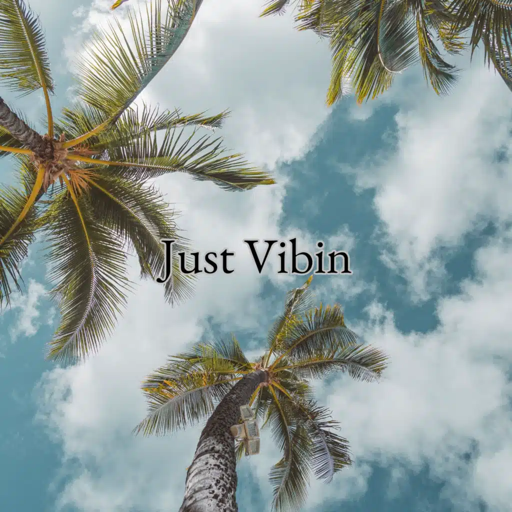 Just Vibin