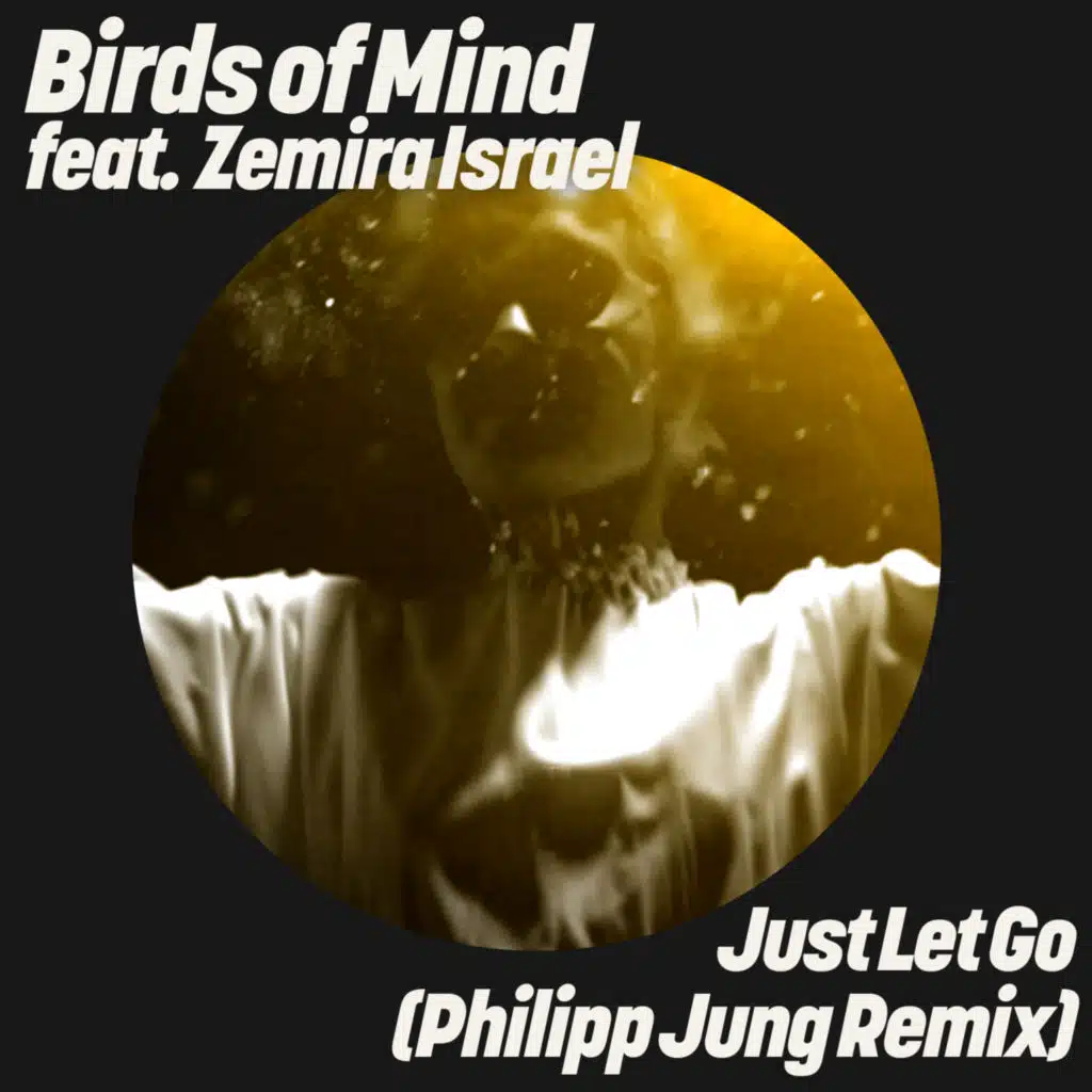 Just Let Go (Philipp Jung Remix) [feat. Zemira Israel]