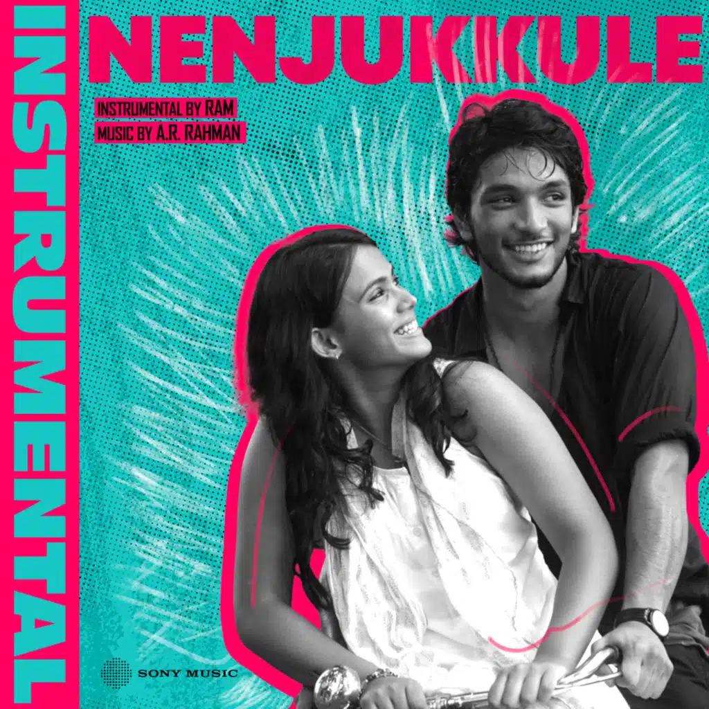 Nenjukkule (Instrumental)