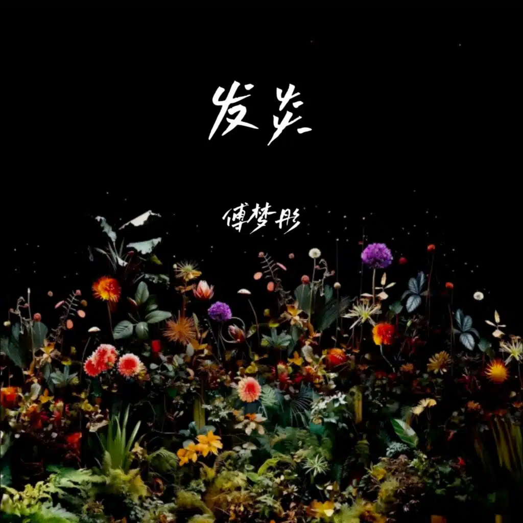 傅梦彤